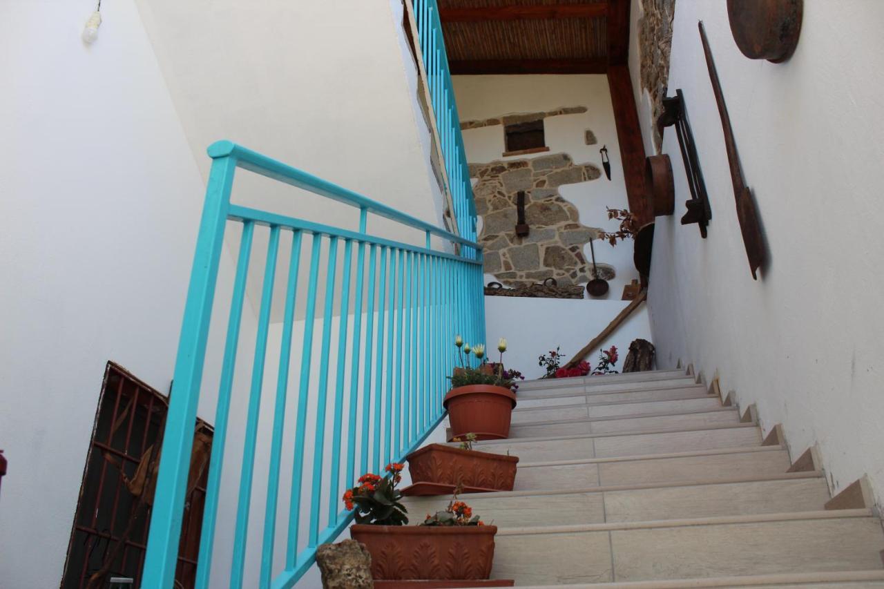 Bed And Breakfast Murales أورغوسولو المظهر الخارجي الصورة
